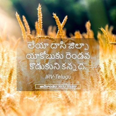 Picture 05 - ఆదికాండం 30:12 TELIRV - లేయా దాసి జిల్పా - Bible Verse Picture