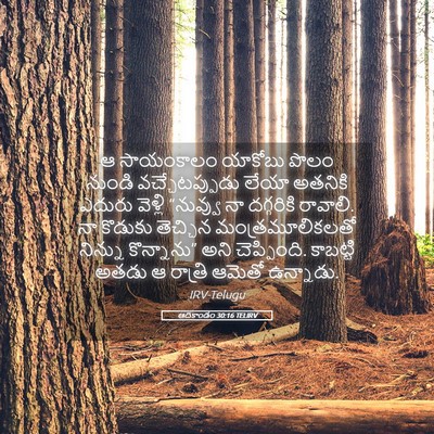 Picture 05 - ఆదికాండం 30:16 TELIRV - ఆ సాయంకాలం యాకోబు - Bible Verse Picture