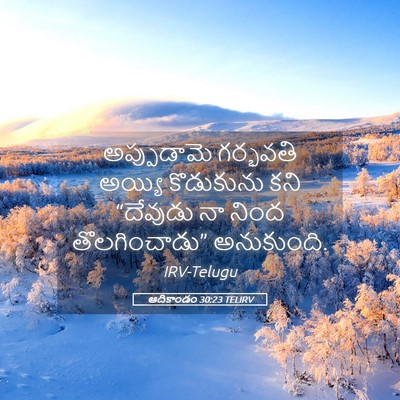 Picture 05 - ఆదికాండం 30:23 TELIRV - అప్పుడామె గర్భవతి - Bible Verse Picture