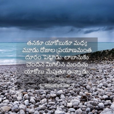 Picture 05 - ఆదికాండం 30:36 TELIRV - తనకూ యాకోబుకూ - Bible Verse Picture