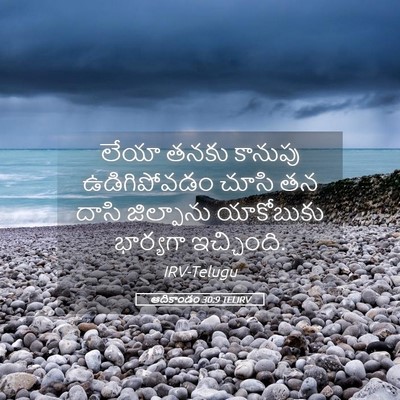 Picture 05 - ఆదికాండం 30:9 TELIRV - లేయా తనకు కానుపు - Bible Verse Picture