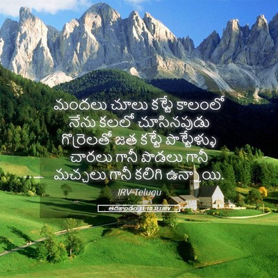 Picture 05 - ఆదికాండం 31:10 TELIRV - మందలు చూలు కట్టే - Bible Verse Picture