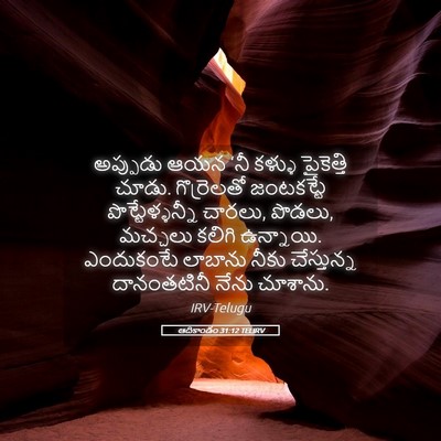 Picture 05 - ఆదికాండం 31:12 TELIRV - అప్పుడు ఆయన ‘నీ - Bible Verse Picture