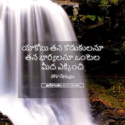 Picture 05 - ఆదికాండం 31:17 TELIRV - యాకోబు తన - Bible Verse Picture