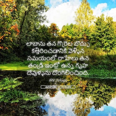 Picture 05 - ఆదికాండం 31:19 TELIRV - లాబాను తన గొర్రెల - Bible Verse Picture