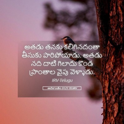Picture 05 - ఆదికాండం 31:21 TELIRV - అతడు తనకు - Bible Verse Picture