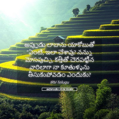 Picture 05 - ఆదికాండం 31:26 TELIRV - అప్పుడు లాబాను - Bible Verse Picture