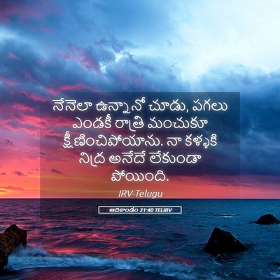 Picture 05 - ఆదికాండం 31:40 TELIRV - నేనెలా ఉన్నానో - Bible Verse Picture