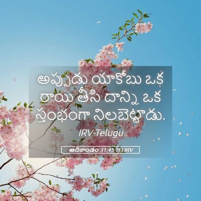 Picture 05 - ఆదికాండం 31:45 TELIRV - అప్పుడు యాకోబు ఒక - Bible Verse Picture