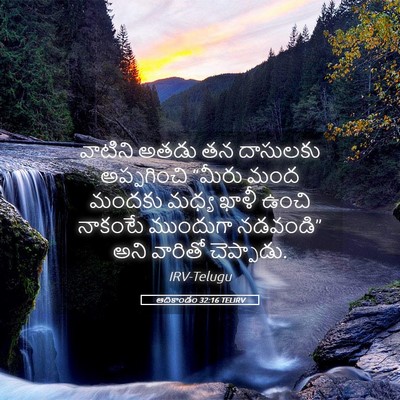 Picture 05 - ఆదికాండం 32:16 TELIRV - వాటిని అతడు తన - Bible Verse Picture