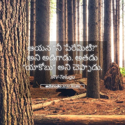 Picture 05 - ఆదికాండం 32:27 TELIRV - ఆయన “నీ పేరేమిటి?” - Bible Verse Picture