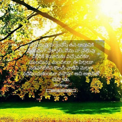 Picture 05 - ఆదికాండం 33:14 TELIRV - నా ప్రభువు దయచేసి - Bible Verse Picture