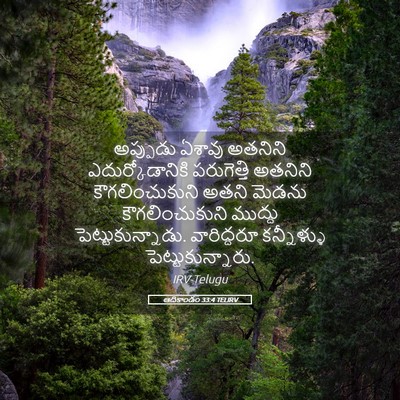 Picture 05 - ఆదికాండం 33:4 TELIRV - అప్పుడు ఏశావు - Bible Verse Picture