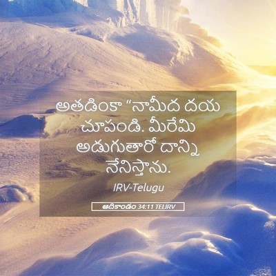 Picture 05 - ఆదికాండం 34:11 TELIRV - అతడింకా “నామీద దయ - Bible Verse Picture