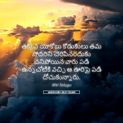 Picture 05 - ఆదికాండం 34:27 TELIRV - తక్కిన యాకోబు - Bible Verse Picture