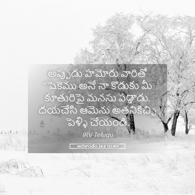 Picture 05 - ఆదికాండం 34:8 TELIRV - అప్పుడు హమోరు - Bible Verse Picture