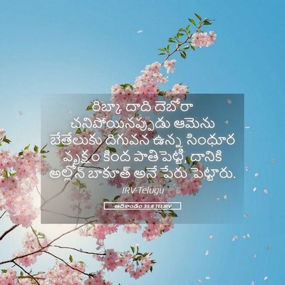 Picture 05 - ఆదికాండం 35:8 TELIRV - రిబ్కా దాది - Bible Verse Picture