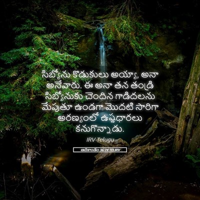 Picture 05 - ఆదికాండం 36:24 TELIRV - సిబ్యోను కొడుకులు - Bible Verse Picture