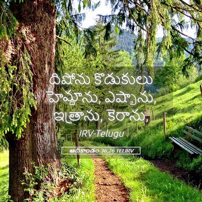 Picture 05 - ఆదికాండం 36:26 TELIRV - దిషోను కొడుకులు - Bible Verse Picture