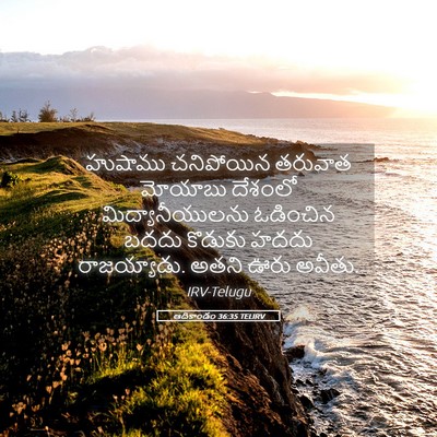 Picture 05 - ఆదికాండం 36:35 TELIRV - హుషాము చనిపోయిన - Bible Verse Picture