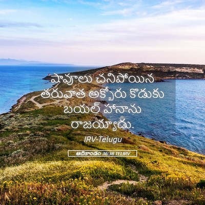 Picture 05 - ఆదికాండం 36:38 TELIRV - షావూలు చనిపోయిన - Bible Verse Picture