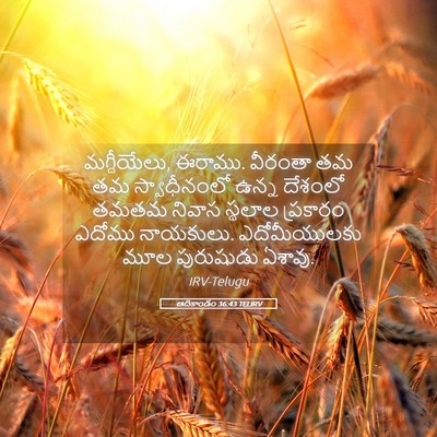 Picture 05 - ఆదికాండం 36:43 TELIRV - మగ్దీయేలు, ఈరాము. - Bible Verse Picture