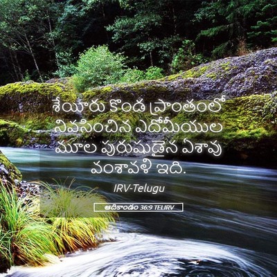 Picture 05 - ఆదికాండం 36:9 TELIRV - శేయీరు కొండ - Bible Verse Picture