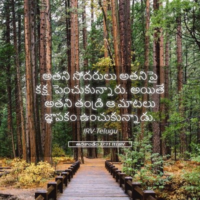 Picture 05 - ఆదికాండం 37:11 TELIRV - అతని సోదరులు - Bible Verse Picture