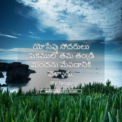 Picture 05 - ఆదికాండం 37:12 TELIRV - యోసేపు సోదరులు - Bible Verse Picture