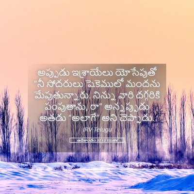 Picture 05 - ఆదికాండం 37:13 TELIRV - అప్పుడు ఇశ్రాయేలు - Bible Verse Picture