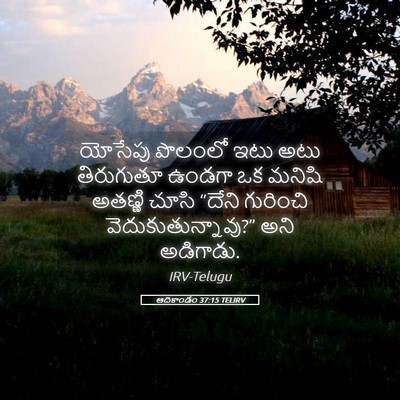 Picture 05 - ఆదికాండం 37:15 TELIRV - యోసేపు పొలంలో ఇటు - Bible Verse Picture