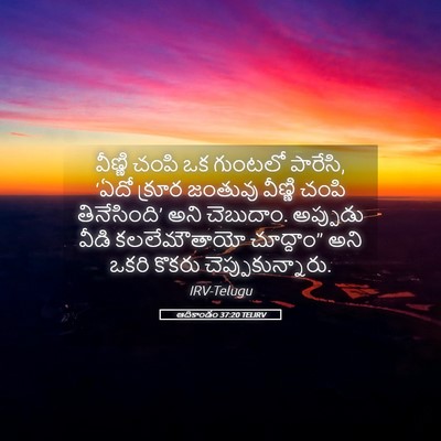 Picture 05 - ఆదికాండం 37:20 TELIRV - వీణ్ణి చంపి ఒక - Bible Verse Picture