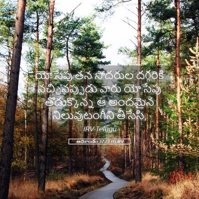 Picture 05 - ఆదికాండం 37:23 TELIRV - యోసేపు తన సోదరుల - Bible Verse Picture