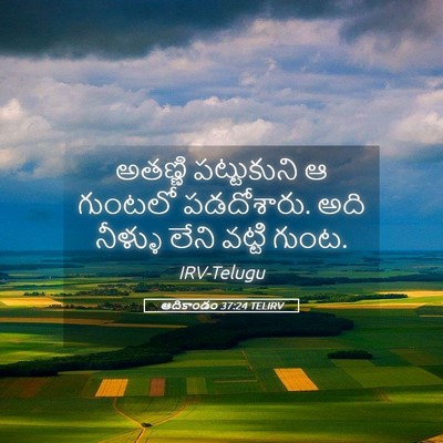 Picture 05 - ఆదికాండం 37:24 TELIRV - అతణ్ణి పట్టుకుని - Bible Verse Picture