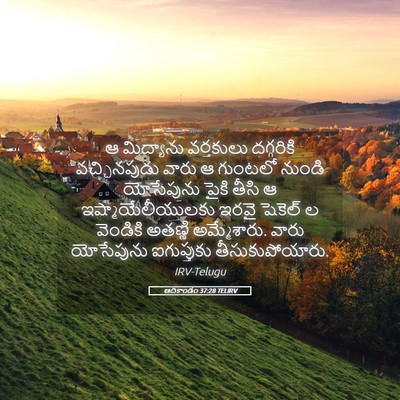 Picture 05 - ఆదికాండం 37:28 TELIRV - ఆ మిద్యాను - Bible Verse Picture