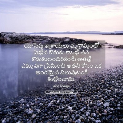 Picture 05 - ఆదికాండం 37:3 TELIRV - యోసేపు ఇశ్రాయేలు - Bible Verse Picture