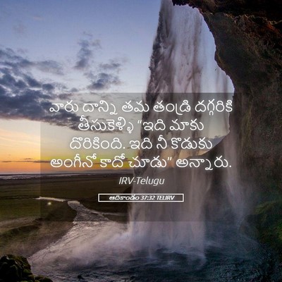 Picture 05 - ఆదికాండం 37:32 TELIRV - వారు దాన్ని తమ - Bible Verse Picture
