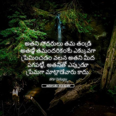 Picture 05 - ఆదికాండం 37:4 TELIRV - అతని సోదరులు తమ - Bible Verse Picture