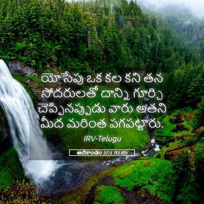 Picture 05 - ఆదికాండం 37:5 TELIRV - యోసేపు ఒక కల కని తన - Bible Verse Picture