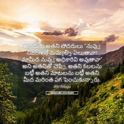 Picture 05 - ఆదికాండం 37:8 TELIRV - అందుకు అతని - Bible Verse Picture