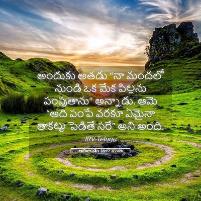 Picture 05 - ఆదికాండం 38:17 TELIRV - అందుకు అతడు “నా - Bible Verse Picture