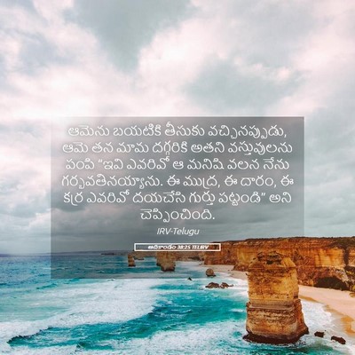 Picture 05 - ఆదికాండం 38:25 TELIRV - ఆమెను బయటికి - Bible Verse Picture