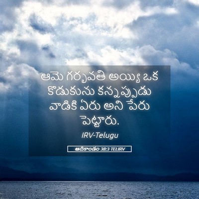 Picture 05 - ఆదికాండం 38:3 TELIRV - ఆమె గర్భవతి అయ్యి - Bible Verse Picture