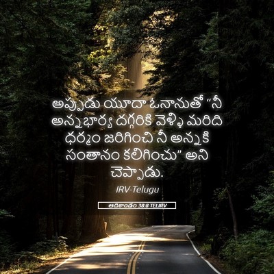 Picture 05 - ఆదికాండం 38:8 TELIRV - అప్పుడు యూదా - Bible Verse Picture