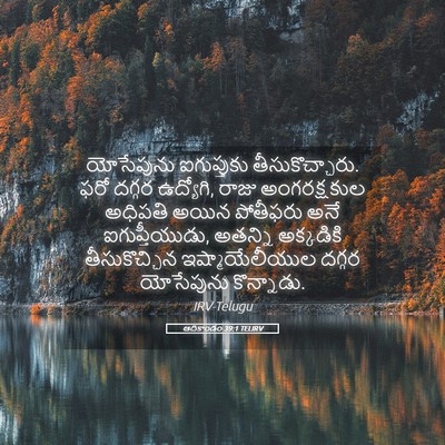 Picture 05 - ఆదికాండం 39:1 TELIRV - యోసేపును - Bible Verse Picture