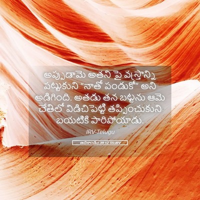 Picture 05 - ఆదికాండం 39:12 TELIRV - అప్పుడామె అతని పై - Bible Verse Picture