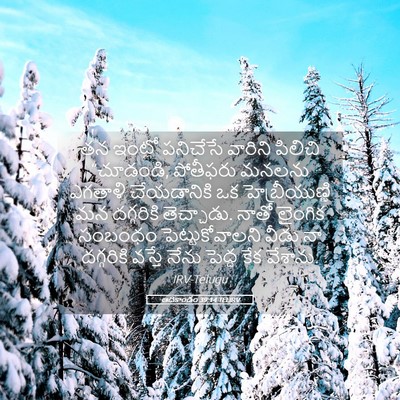 Picture 05 - ఆదికాండం 39:14 TELIRV - తన ఇంట్లో పనిచేసే - Bible Verse Picture