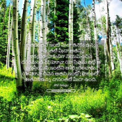 Picture 05 - ఆదికాండం 39:5 TELIRV - అతడు తన ఇంటి మీదా - Bible Verse Picture