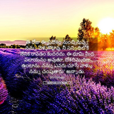 Picture 05 - ఆదికాండం 4:14 TELIRV - ఈ రోజు ఈ ప్రదేశం - Bible Verse Picture