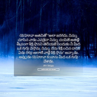 Picture 05 - ఆదికాండం 4:15 TELIRV - యెహోవా అతనితో - Bible Verse Picture